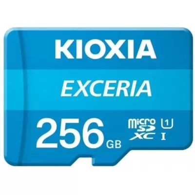 256 GB KIOXIA NORMAL SD EXCERIA C10 LNEX1L256GG4 